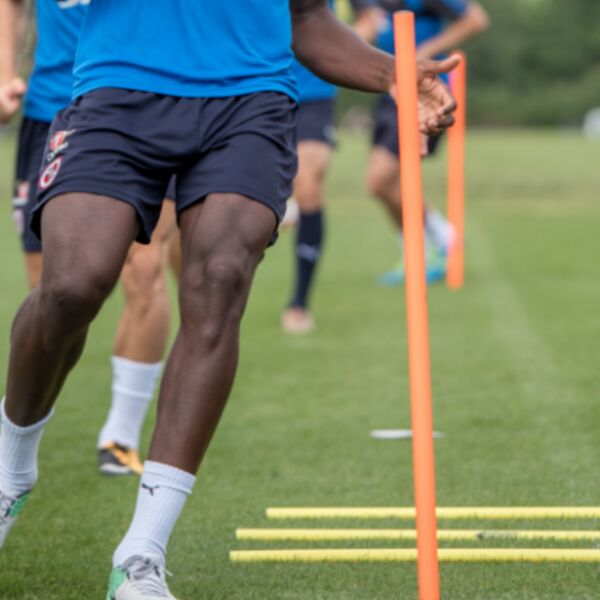 1 Metre Spiked Pole Set Thumbnail